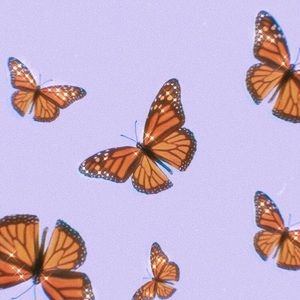 Meet your Posher, Trinity